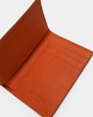 Купить Обложка SANTONI