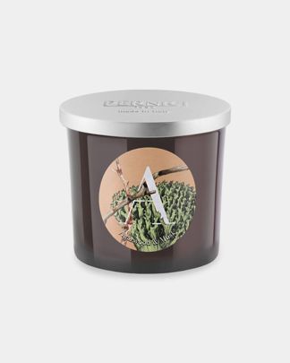 Купить Свеча ароматическая "a агаровое дерево и мох" PERNICI