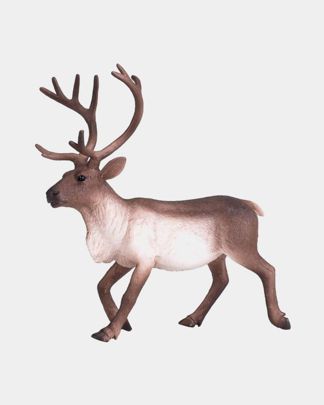 Купить Северный олень KONIK