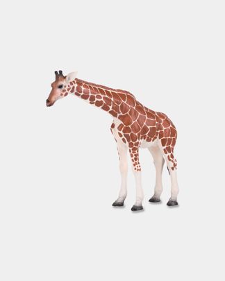 Купить Жираф самка KONIK