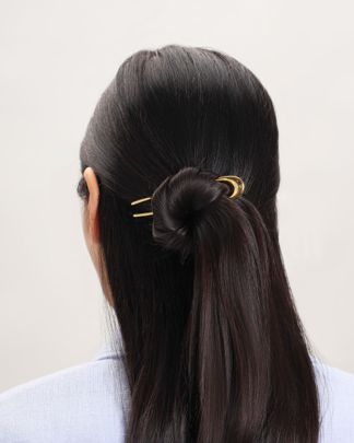 Купить Заколка VIEN