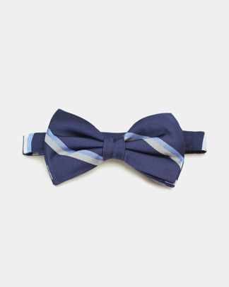 Купить Бабочка CORNELIANI