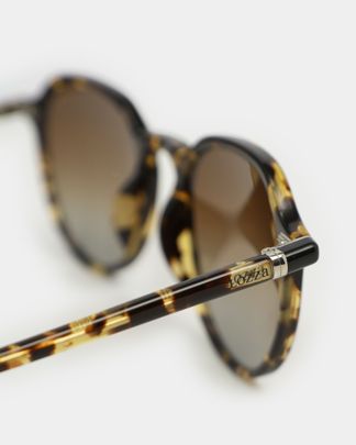 Купить Очки LOZZA EYEWEAR