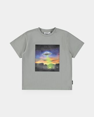 Купить Футболка MOLO