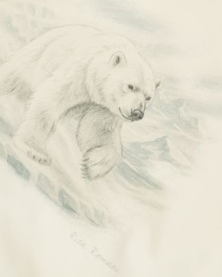 Купить Пижама RITA ROMANI