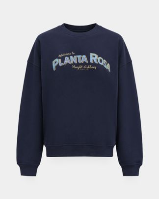 Купить Свитшот PLANTA ROSA
