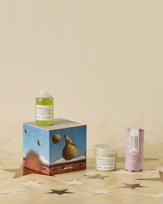 Купить Набор mомо для увлажнения волос DAVINES