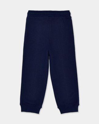 Купить Брюки спортивные MOTHERBEAR