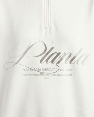 Купить Свитшот PLANTA ROSA