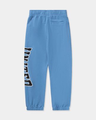 Купить Брюки спортивные MOLO