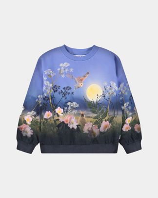 Купить Свитшот MOLO KIDS