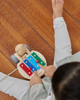 Купить Каталка медведь PLAN TOYS