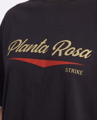 Купить Футболка PLANTA ROSA
