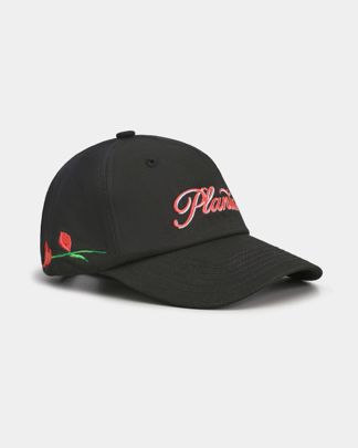 Купить Кепка PLANTA ROSA